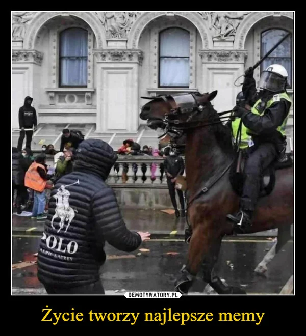 
    Życie tworzy najlepsze memy