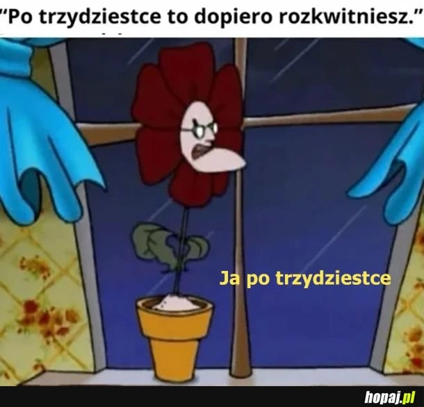 
    Trzydziecha