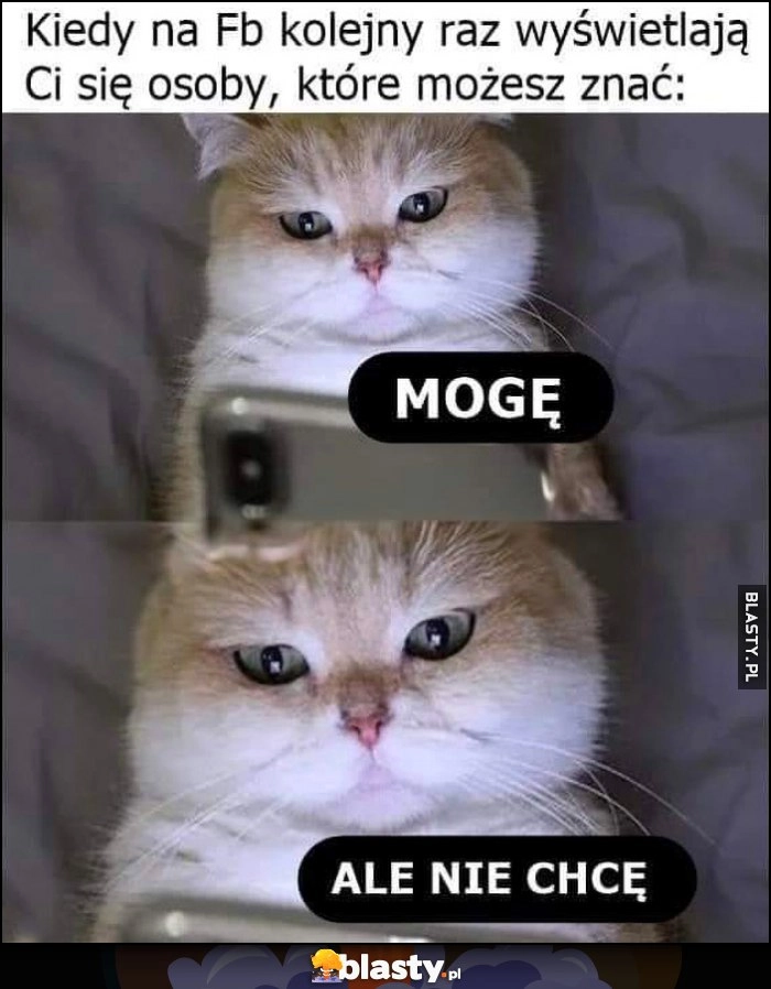 
    Kiedy na fb kolejny raz wyświetlają ci się osoby które możesz znać: mogę ale nie chcę kot kotek