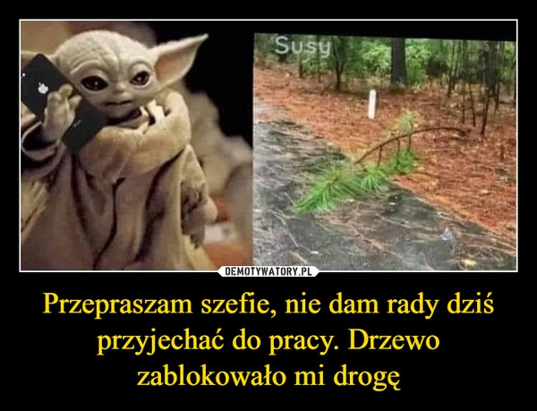 
    Przepraszam szefie, nie dam rady dziś przyjechać do pracy. Drzewo zablokowało mi drogę