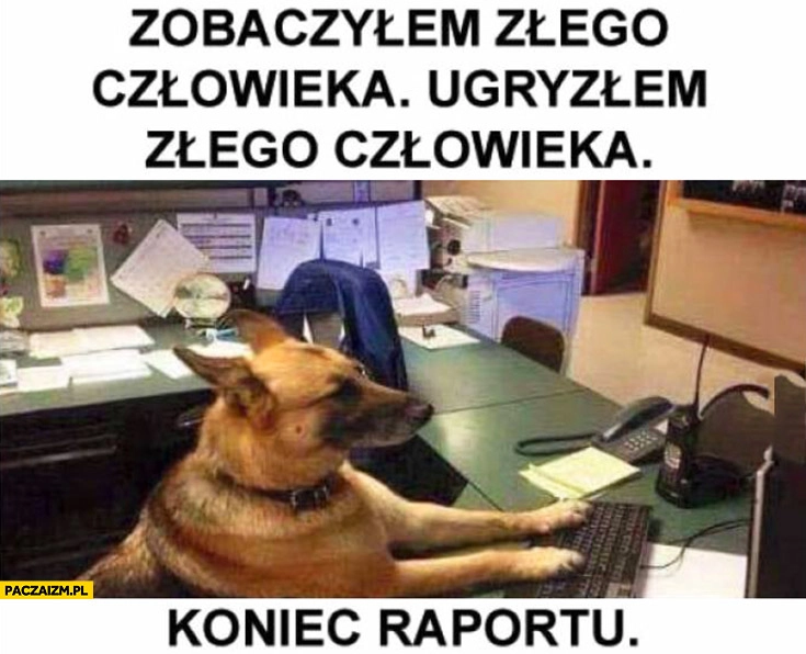 
    Pies policjant zobaczyłem złego człowieka, ugryzłem złego człowieka, koniec raportu