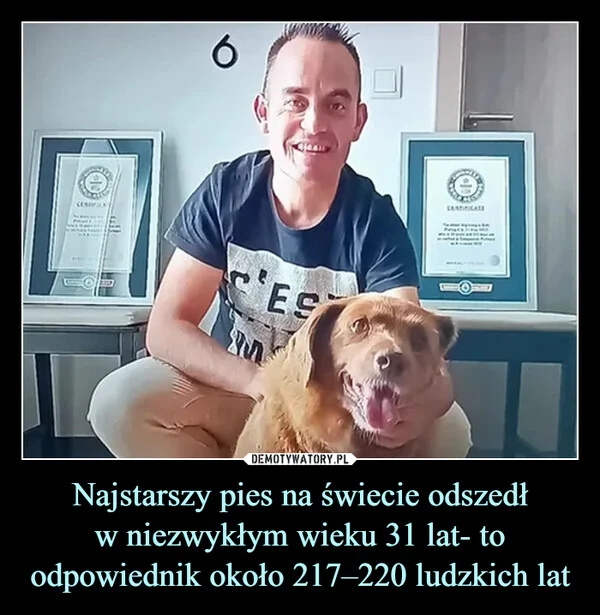 
    Najstarszy pies na świecie odszedł w niezwykłym wieku 31 lat- to odpowiednik około 217–220 ludzkich lat
