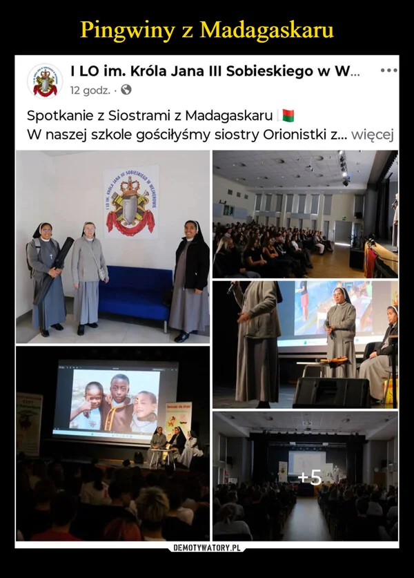 Pingwiny z Madagaskaru