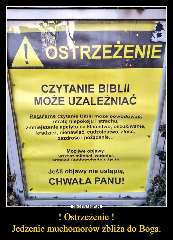 
    ! Ostrzeżenie ! Jedzenie muchomorów zbliża do Boga.