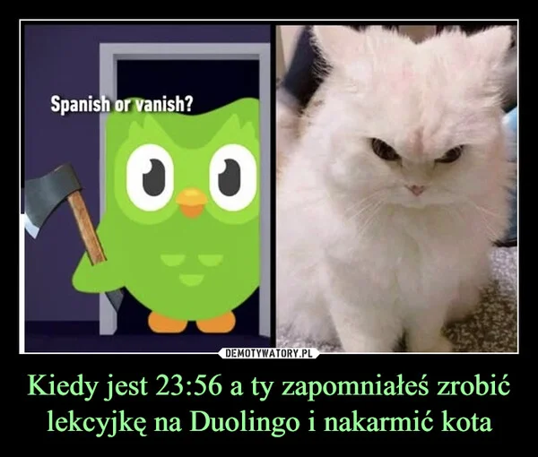 
    Kiedy jest 23:56 a ty zapomniałeś zrobić lekcyjkę na Duolingo i nakarmić kota