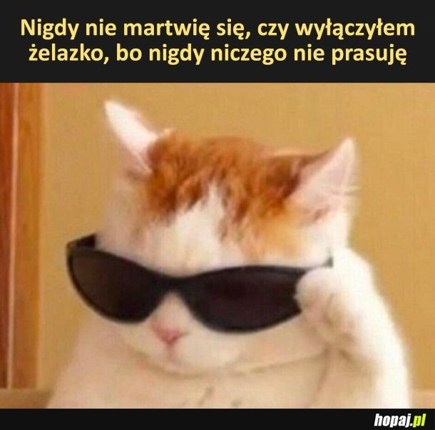 
    Nie prasuję więc się nie martwię