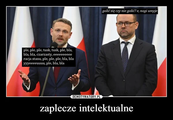 
    zaplecze intelektualne