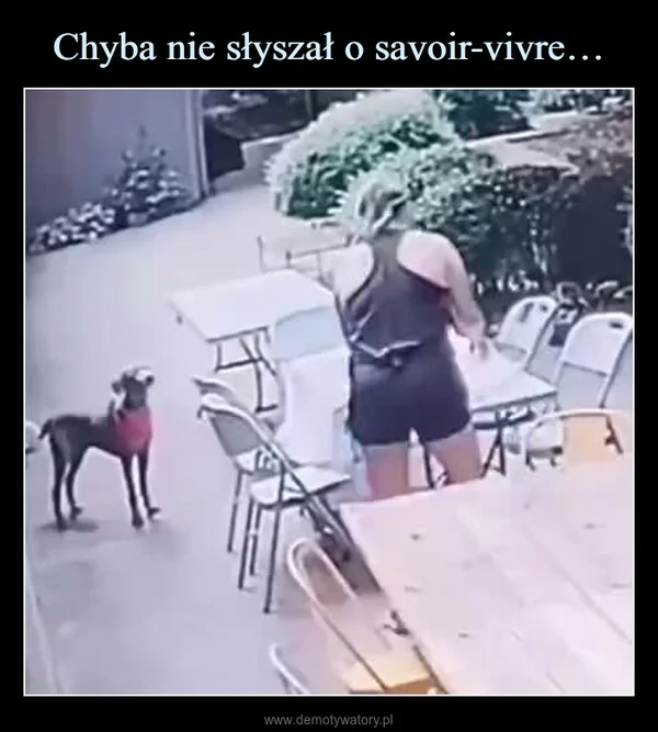 Chyba nie słyszał o savoir-vivre…