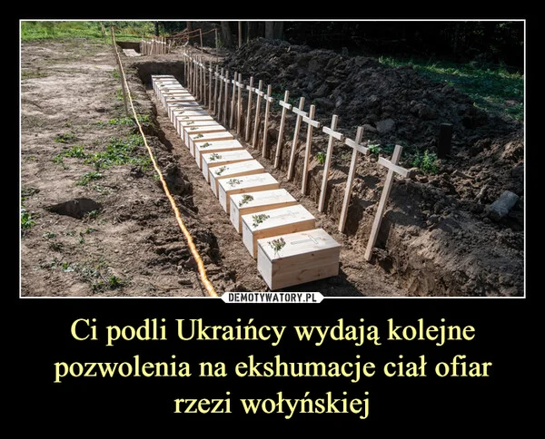 
    Ci podli Ukraińcy wydają kolejne pozwolenia na ekshumacje ciał ofiar rzezi wołyńskiej