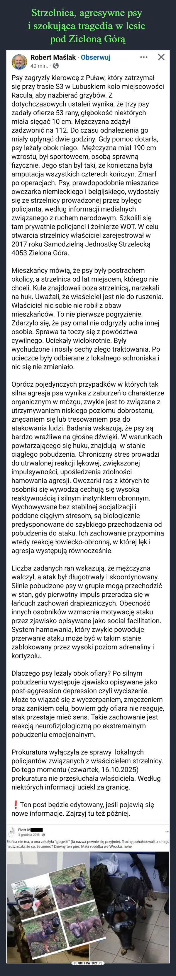 
    Strzelnica, agresywne psy i szokująca tragedia w lesie pod Zieloną Górą