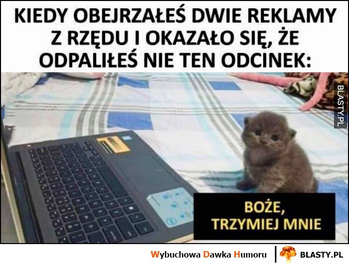 
    Kot kotek kiedy obejrzałeś dwie reklamy z rzędu i okazało się, że odpaliłeś nie ten odcinek