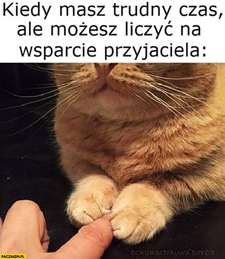 
    Kiedy masz trudny czas ale możesz liczyć na wsparcie przyjaciela kot trzyma palec