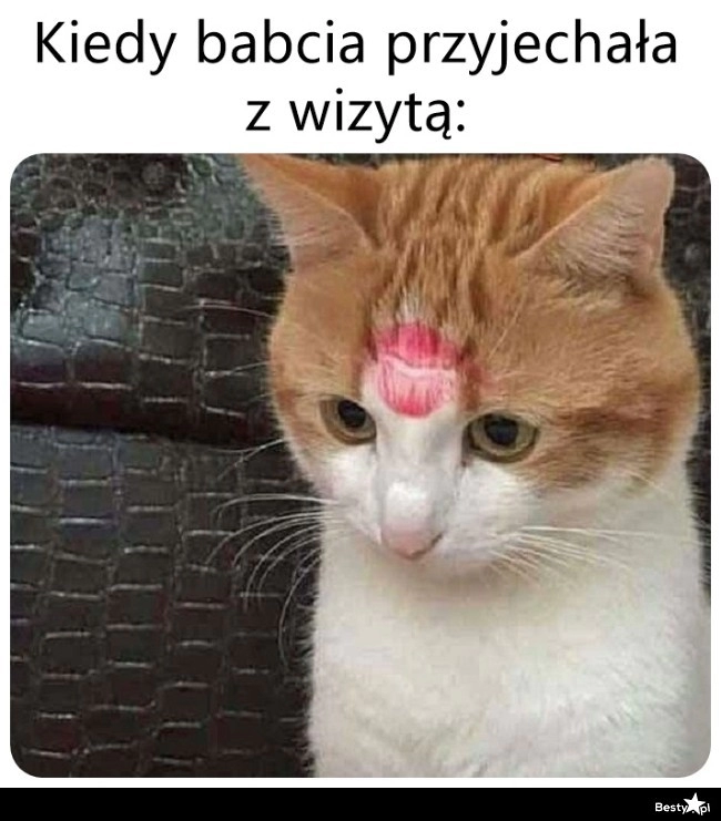 
    Wizyta babci 