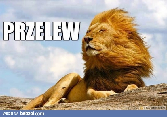 
    Już niebawem