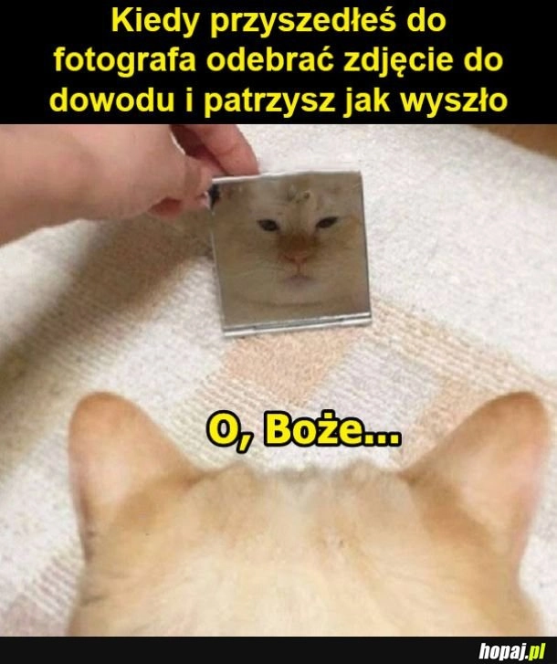 
    Zdjęcie dowodu