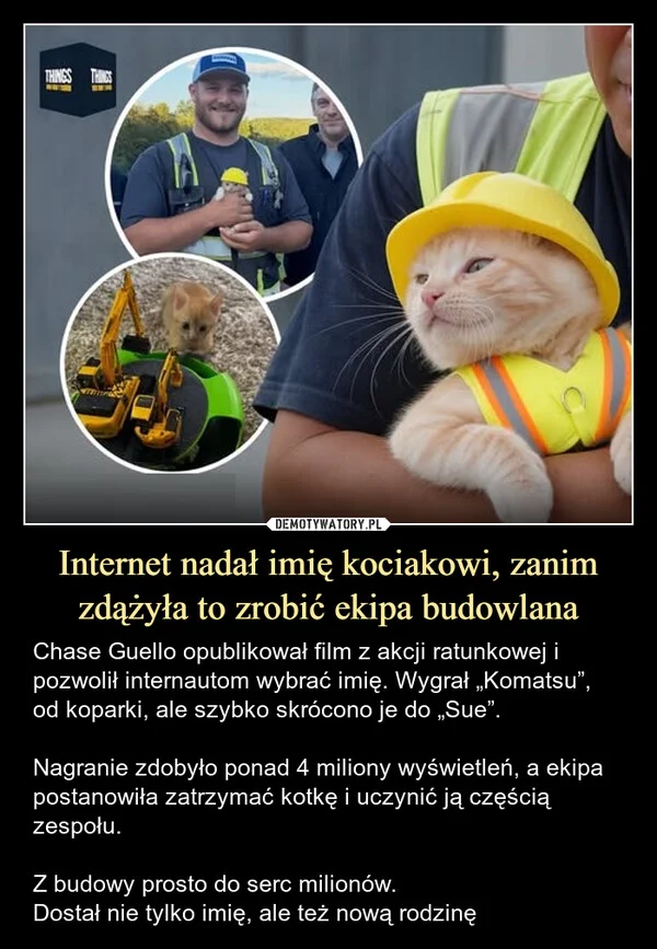 
    Internet nadał imię kociakowi, zanim zdążyła to zrobić ekipa budowlana