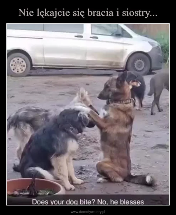 
    Nie lękajcie się bracia i siostry...