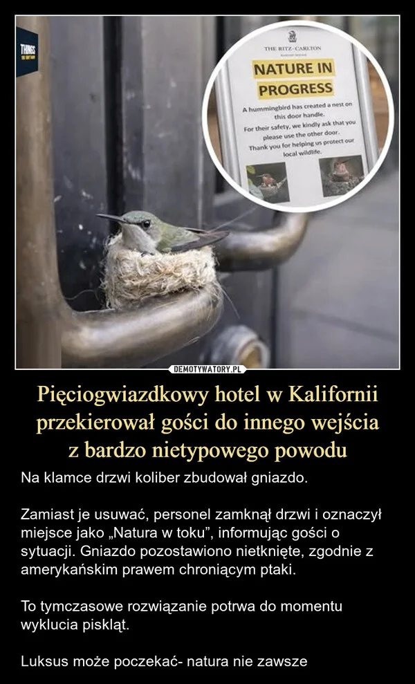 Pięciogwiazdkowy hotel w Kalifornii przekierował gości do innego wejścia z bardzo nietypowego powodu