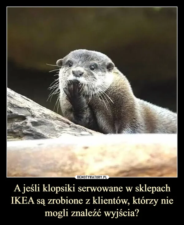 
    A jeśli klopsiki serwowane w sklepach IKEA są zrobione z klientów, którzy nie mogli znaleźć wyjścia?