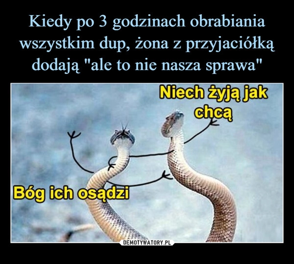 
    Kiedy po 3 godzinach obrabiania wszystkim dup, żona z przyjaciółką dodają "ale to nie nasza sprawa"