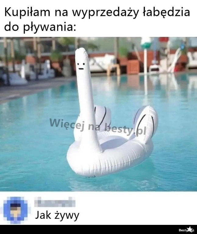 
    Łabędź z wyprzedaży 