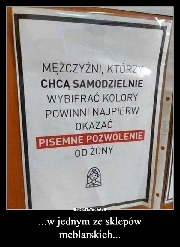 
    ...w jednym ze sklepów meblarskich...