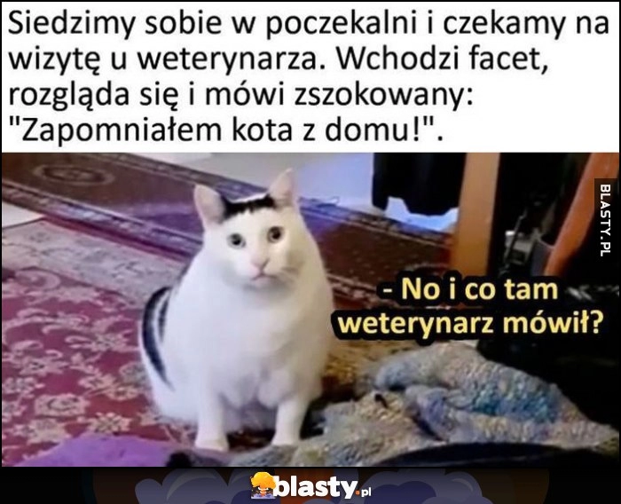 
    Siedzimy w poczekalni do weterynarza, wchodzi facet i mówi zapomniałem kota z domu, kot: no i co tam weterynarz mówił?