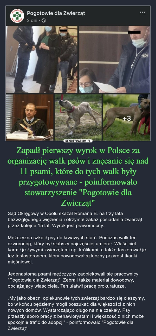 
    Zapadł pierwszy wyrok w Polsce za organizację walk psów i znęcanie się nad 11 psami, które do tych walk były przygotowywane - poinformowało stowarzyszenie "Pogotowie dla Zwierząt"