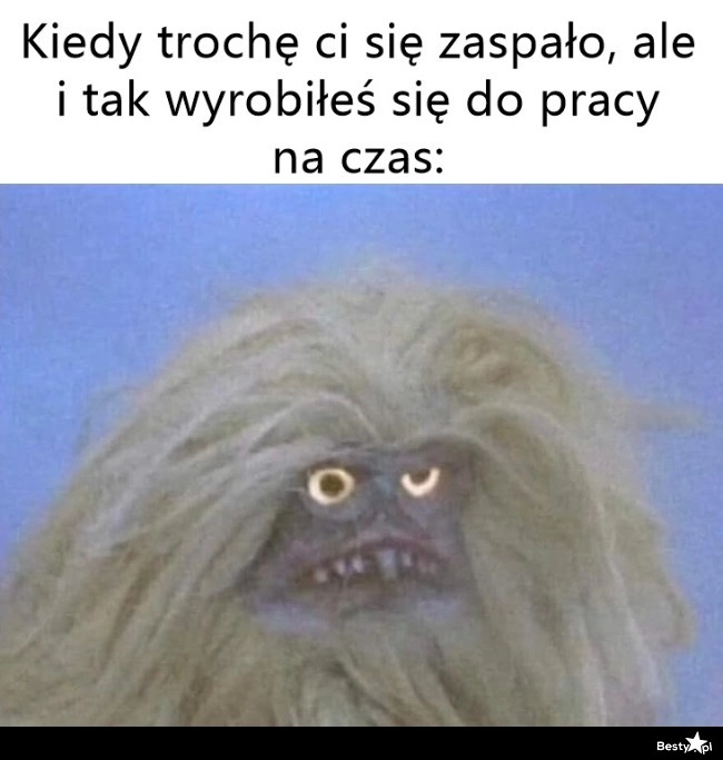 
    Może i punktualnie, ale jakim kosztem 