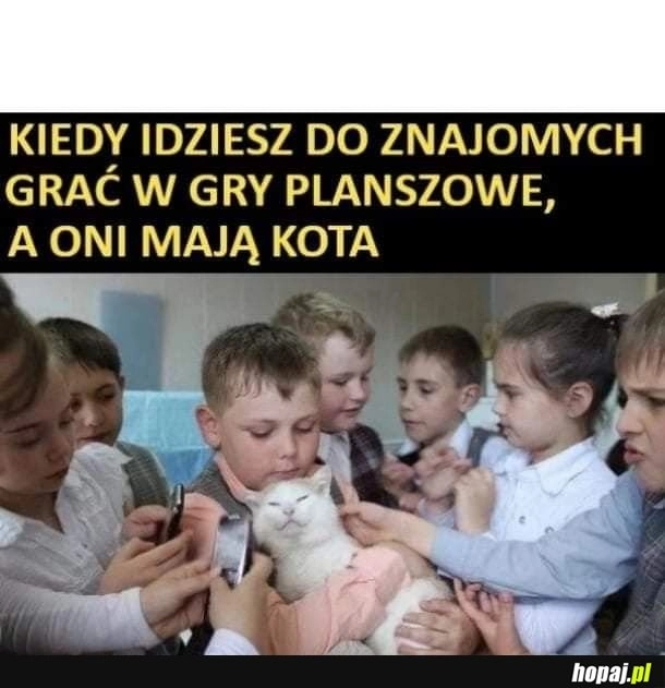 
    Kotek ważniejszy