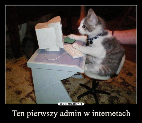
    Ten pierwszy admin w internetach