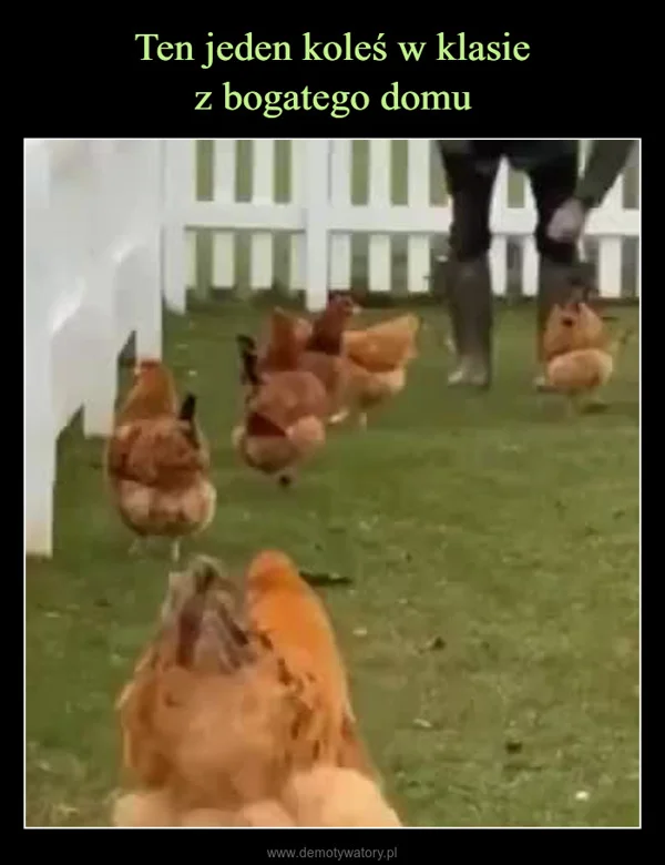 
    Ten jeden koleś w klasie z bogatego domu