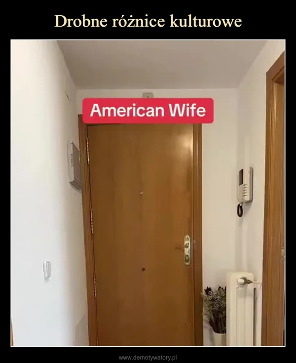 
    Drobne różnice kulturowe