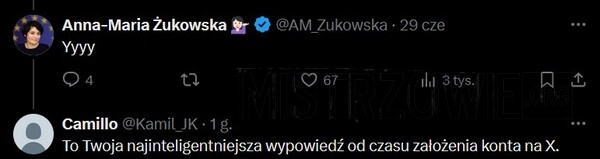 
    Wypowiedź na poziomie