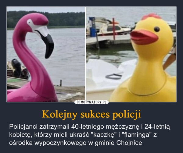 
    Kolejny sukces policji