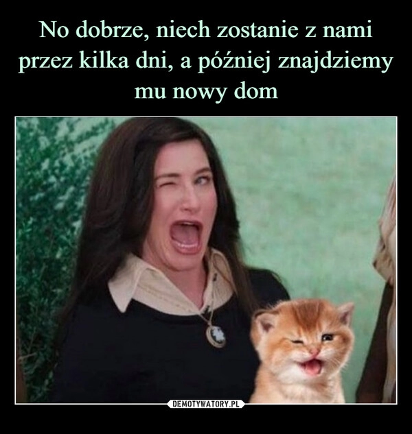 
    No dobrze, niech zostanie z nami przez kilka dni, a później znajdziemy mu nowy dom