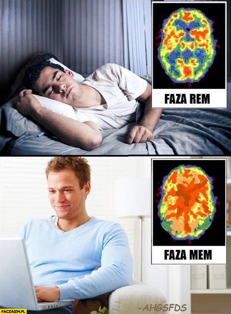 
    Faza rem, faza mem mózg porównanie AHGSFDS