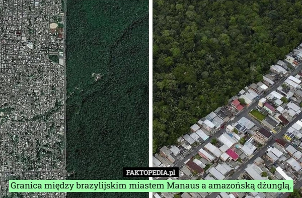 
    Granica między brazylijskim miastem Manaus a amazońską dżunglą.