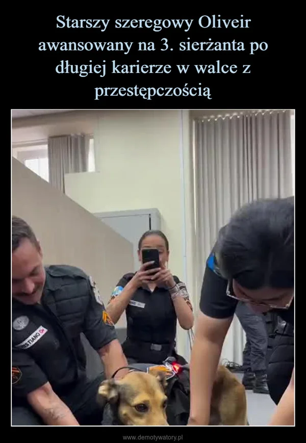 
    Starszy szeregowy Oliveir awansowany na 3. sierżanta po długiej karierze w walce z przestępczością