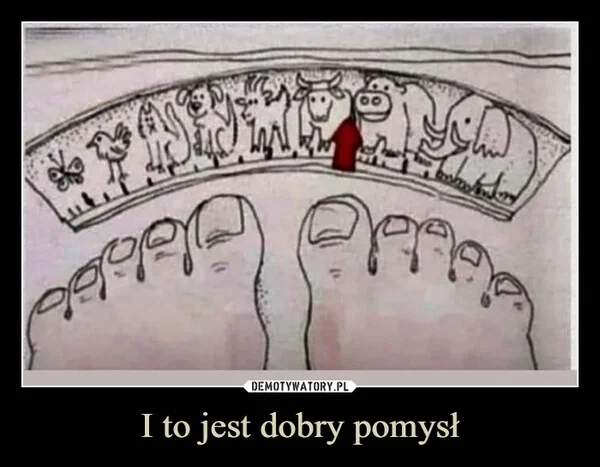 
    I to jest dobry pomysł