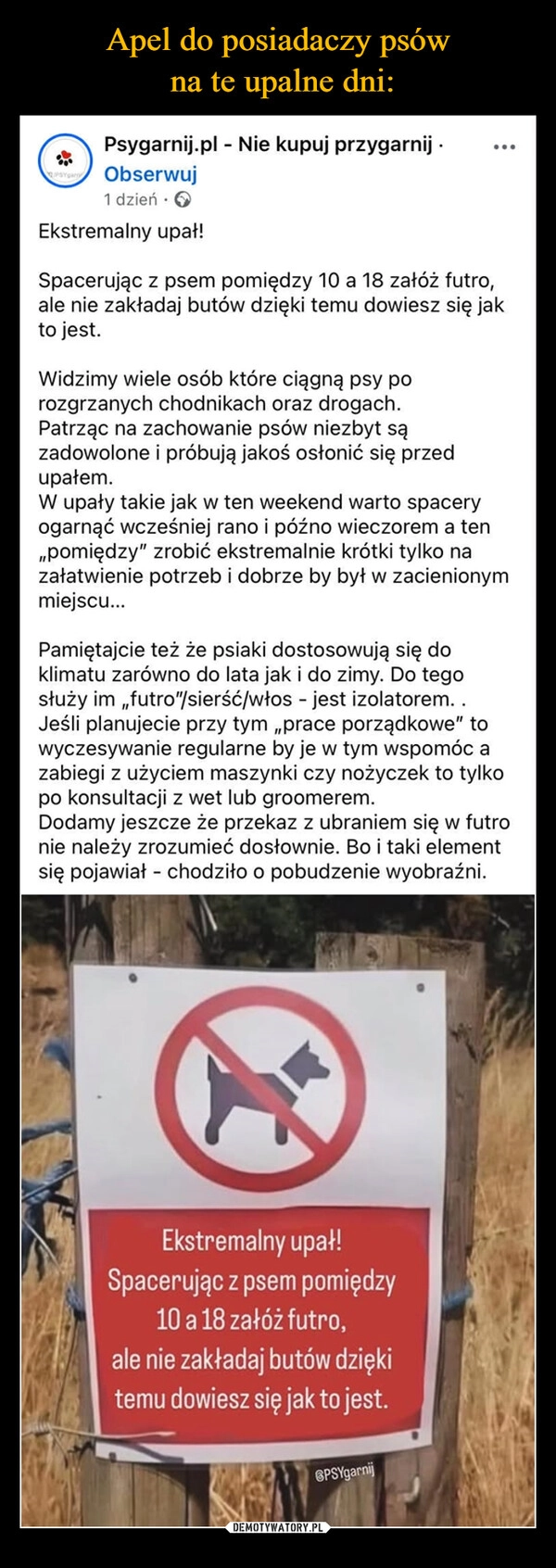 
    Apel do posiadaczy psów
 na te upalne dni: