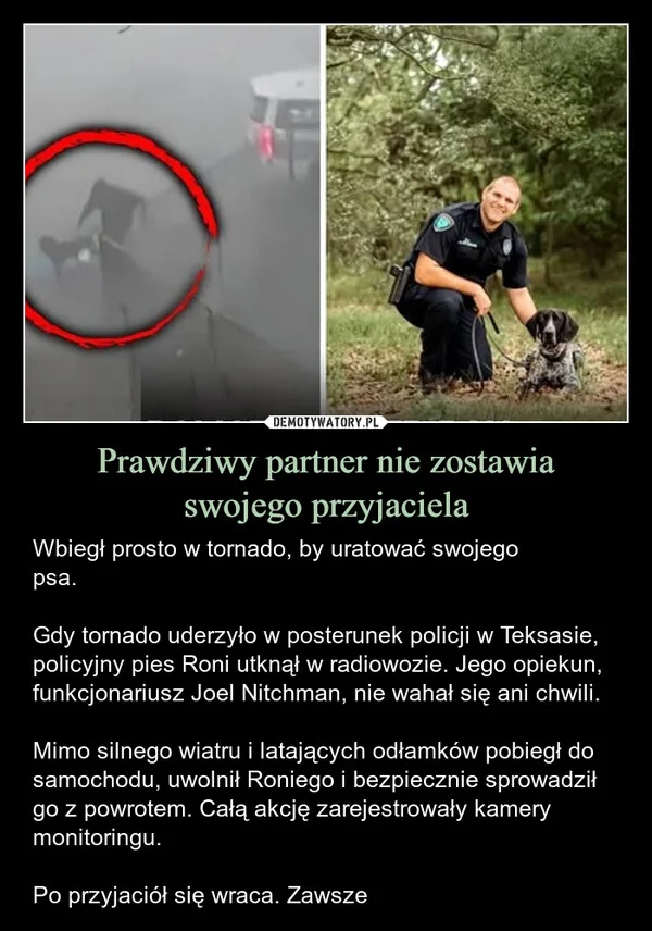 
    Prawdziwy partner nie zostawia swojego przyjaciela