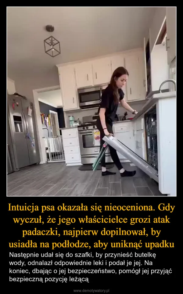 
    Intuicja psa okazała się nieoceniona. Gdy wyczuł, że jego właścicielce grozi atak padaczki, najpierw dopilnował, by usiadła na podłodze, aby uniknąć upadku