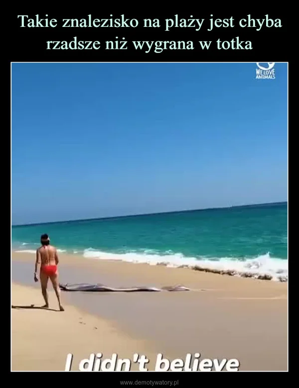 Takie znalezisko na plaży jest chyba rzadsze niż wygrana w totka