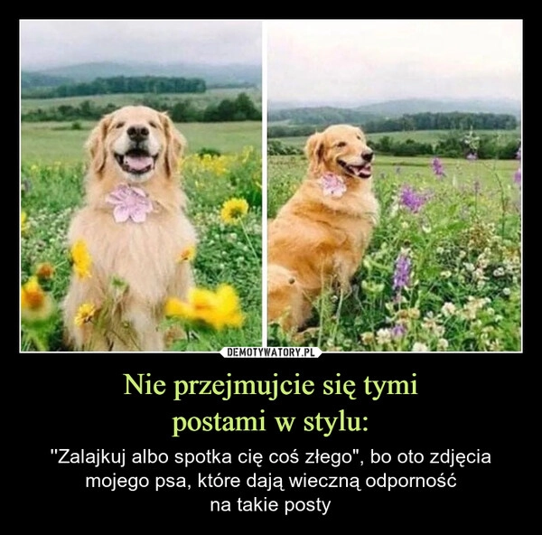 
    Nie przejmujcie się tymi
postami w stylu: