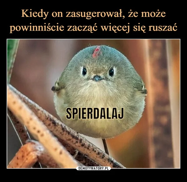 
    Kiedy on zasugerował, że może powinniście zacząć więcej się ruszać