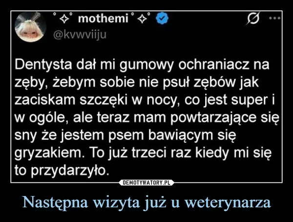 
    Następna wizyta już u weterynarza