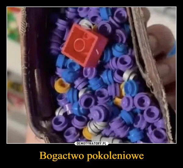 
    Bogactwo pokoleniowe