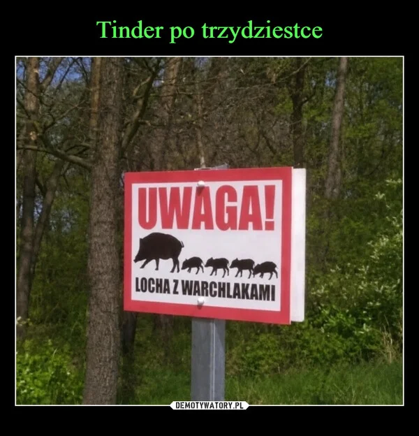 
    Tinder po trzydziestce