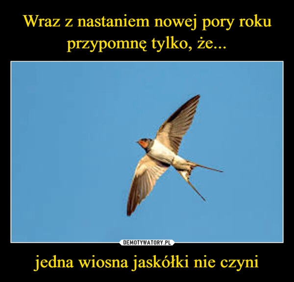 
    Wraz z nastaniem nowej pory roku przypomnę tylko, że... jedna wiosna jaskółki nie czyni